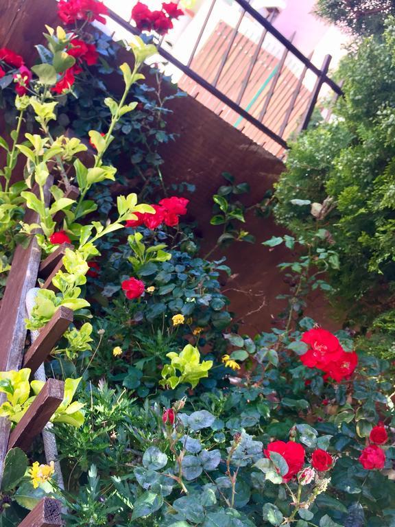 B&B Limone San Leone Eksteriør bilde